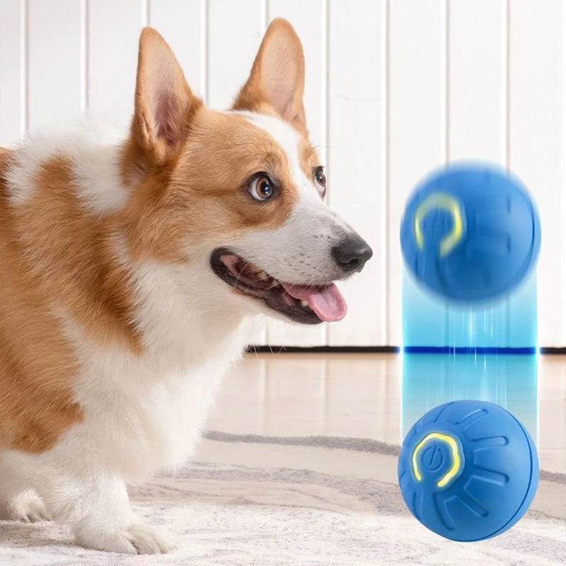 Pelota rellenable para perros
