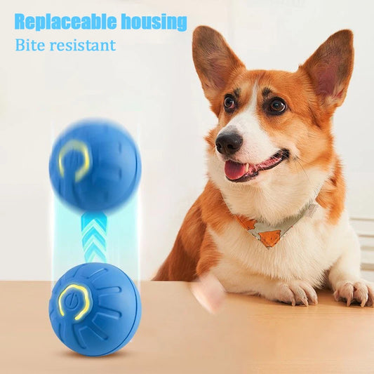 Pelota rellenable para perros