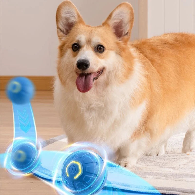 Pelota rellenable para perros