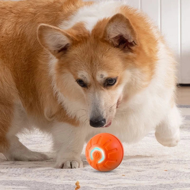 Pelota rellenable para perros