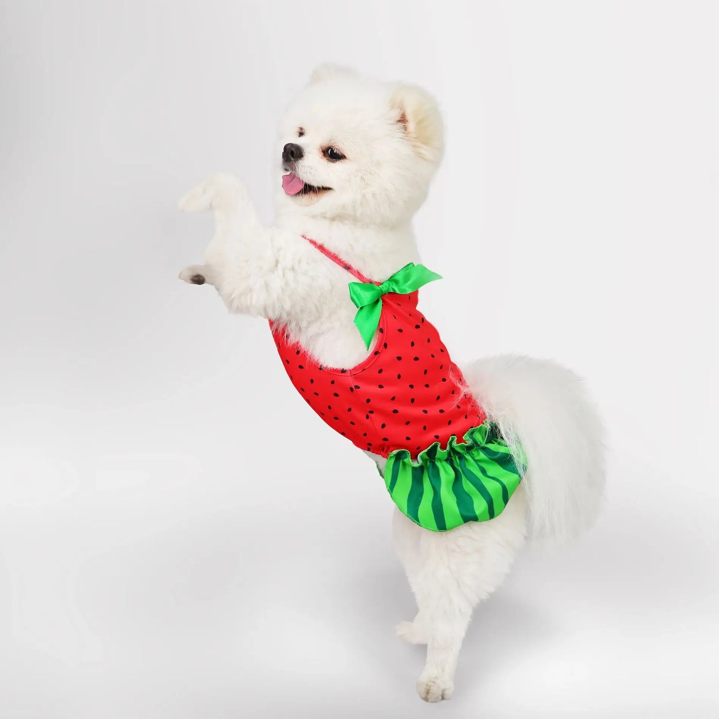 Ropa de sandía para perros