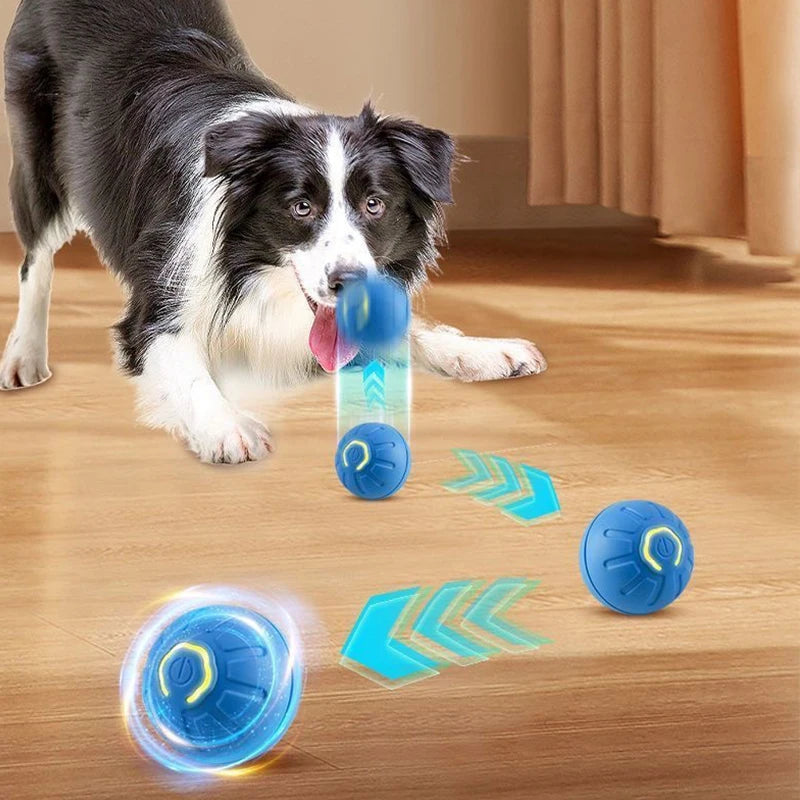 Pelota rellenable para perros